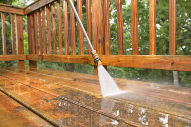 Best Fence Cleaning  in Waterloo, WI